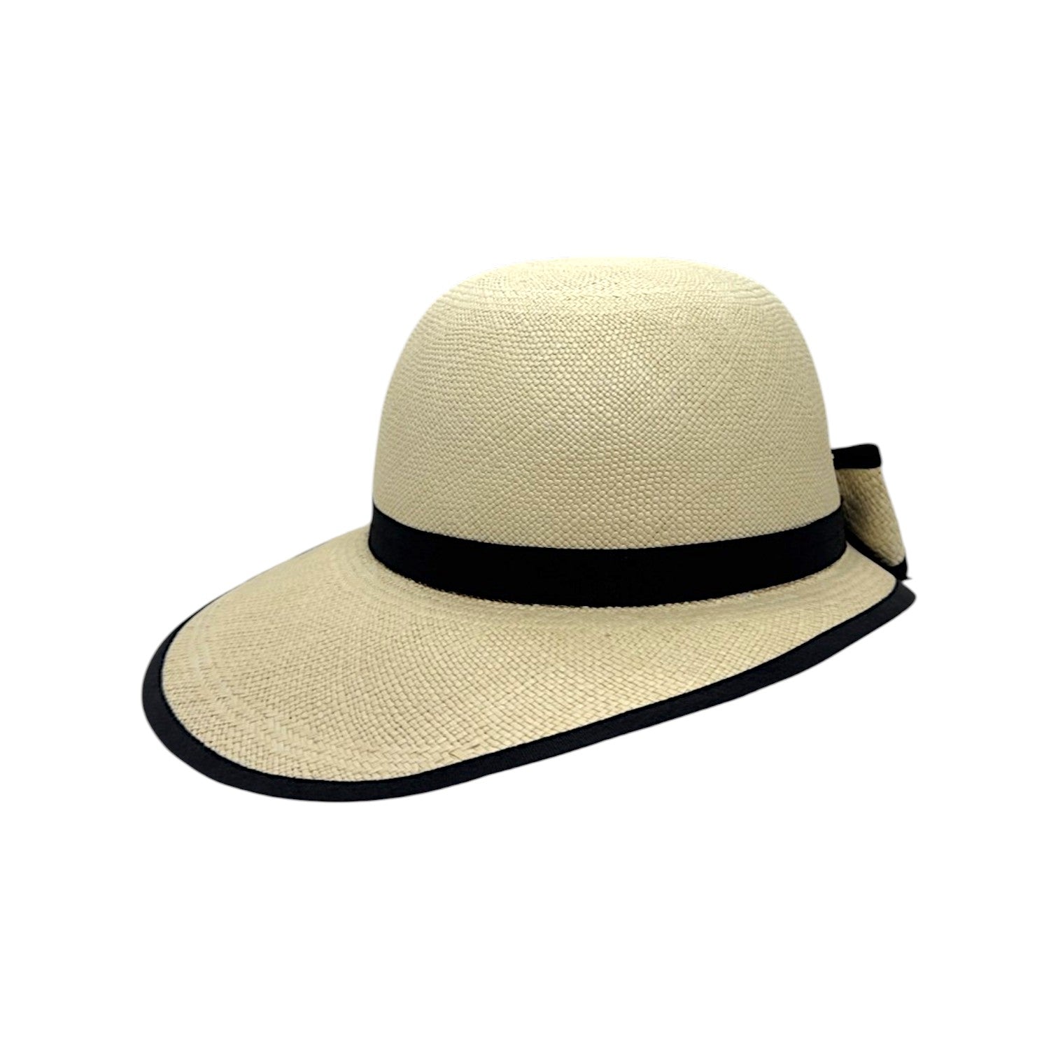 Visera