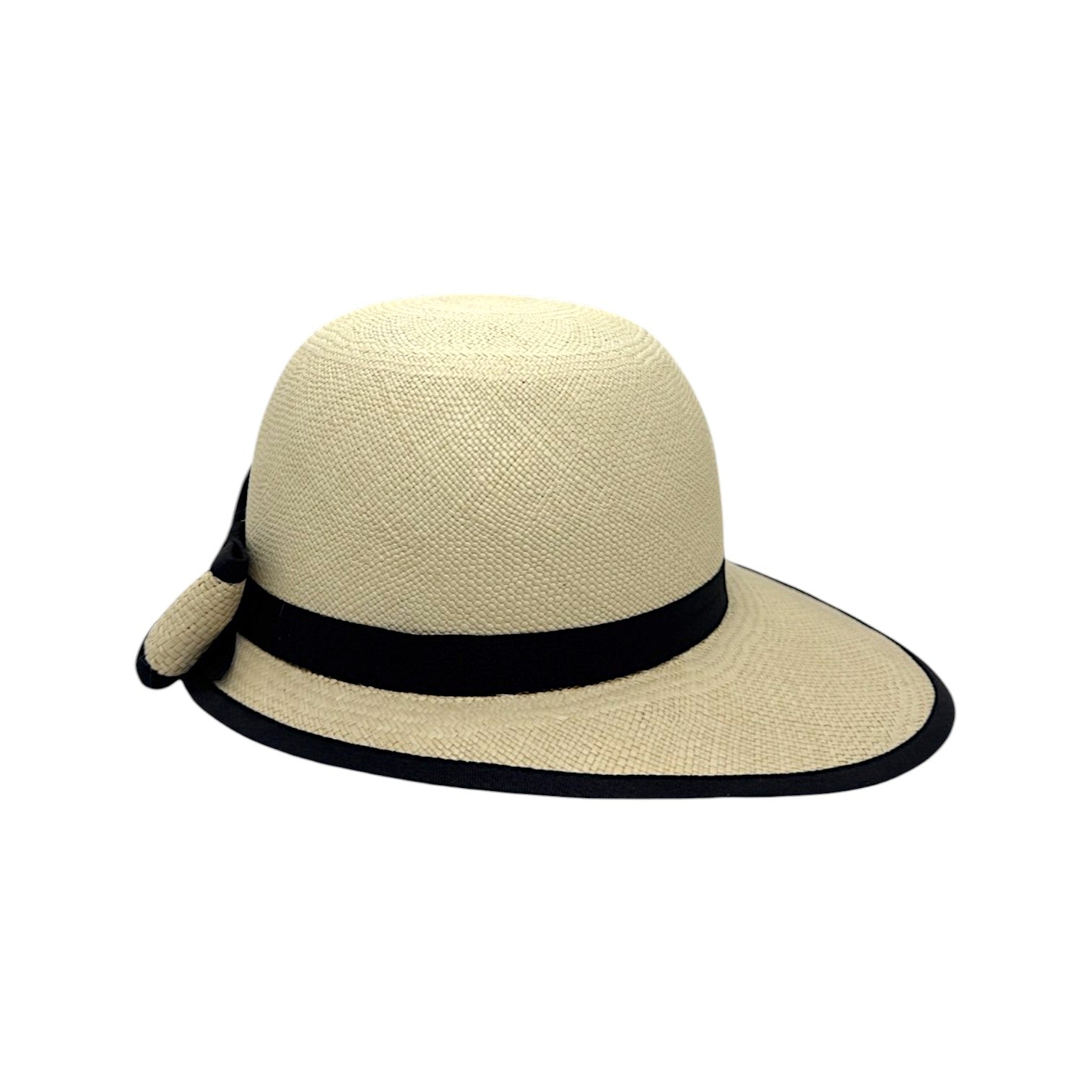 Visera